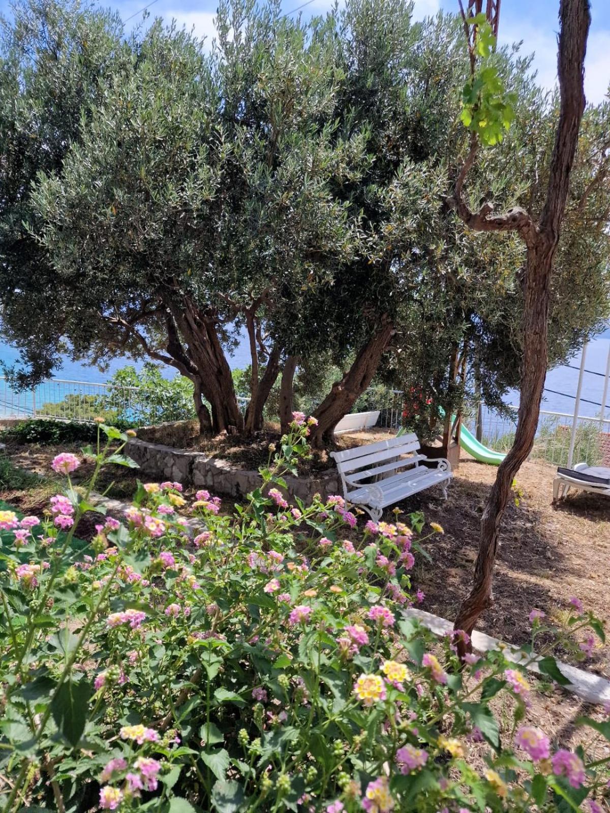 Apartment Panorama - Amazing Sea View, Newly Renovated Dugi Rat Esterno foto